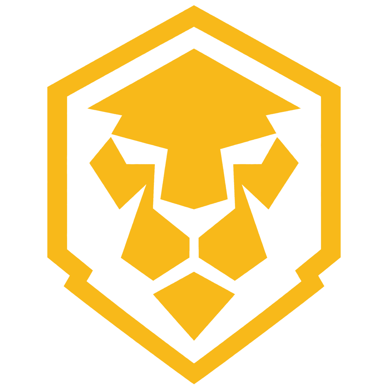 Lion Fight Team